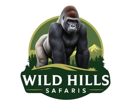 Wild Hills Safaris Official Logo