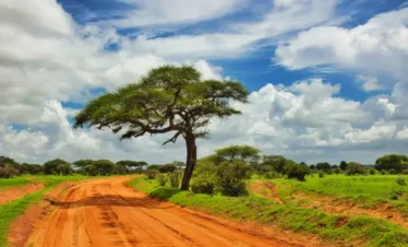 Days Amboseli & Tsavo Safari – Kenya