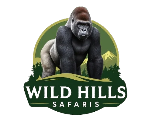 Wild Hills Safaris Official Logo